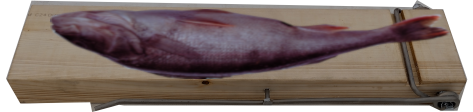 Skrapa